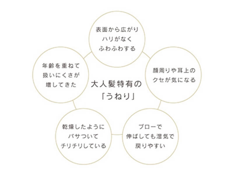 大人髪の「うねり」を補強する、エラプシーク。